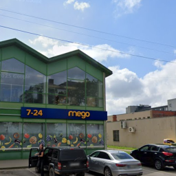 Mego BAUSKA, DARZA IELA 20