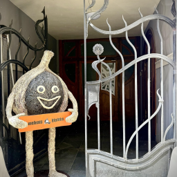 Black garlic Riga, SMILSU IELA 2